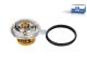 DT Spare Parts 4.64803 Thermostat, 85 °C passend für Multimarken