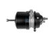 DT Spare Parts 4.65404 Federspeicherbremszylinder, rechts, M16 x 1,5, Ls: 57 mm, Lp: 15 mm passend für Multimarken