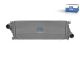 DT Spare Parts 4.66335 Ladeluftkühler, L: 720 mm, W: 255 mm, T: 30 mm passend für Multimarken