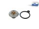 DT Spare Parts 4.66739 Thermostat, 80 °C passend für Multimarken