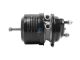 DT Spare Parts 4.67660 Federspeicherbremszylinder, rechts, M16 x 1,5, M22 x 1,5, Ls: 57 mm, Lp: 15 mm passend für Mercedes-Benz