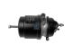 DT Spare Parts 4.67663 Federspeicherbremszylinder, links, M16 x 1,5, M22 x 1,5, Ls: 64 mm, Lp: 15 mm passend für Mercedes-Benz