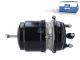 DT Spare Parts 4.69834 Federspeicherbremszylinder, rechts, M16 x 1,5, M22 x 1,5, Ls: 65 mm, Lp: 37 mm passend für Mercedes-Benz