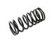 DT Spare Parts 4.70056 Ventilfeder, innen, D: 29 mm, L: 66,5 mm passend für Multimarken