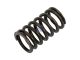 DT Spare Parts 4.70121 Ventilfeder, Einlass, D: 27 mm, L: 50 mm passend für Multimarken