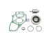 DT Spare Parts 4.90042 Reparatursatz, Wasserpumpe passend für Multimarken