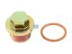 DT Spare Parts 4.90293 Verschlussschraube, Ölwanne, mit Dichtring, M26 x 1,5 passend für Multimarken