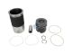 DT Spare Parts 4.90955 Kolben mit Laufbuchse, D: 128 mm passend für Mercedes-Benz