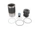 DT Spare Parts 4.90963 Kolben mit Laufbuchse, D: 125 mm passend für Mercedes-Benz