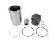 DT Spare Parts 4.90967 Kolben mit Laufbuchse, D: 130 mm passend für Multimarken