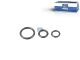 DT Spare Parts 4.91441 O-Ring Satz, d: 7 mm, d1: 7,5 mm, d2: 13 mm passend für Mercedes-Benz