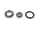 DT Spare Parts 4.91486 Radlagersatz passend für Multimarken