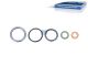 DT Spare Parts 4.92520 Dichtsatz, Einspritzdüse passend für Mercedes-Benz