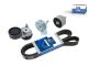 DT Spare Parts 5.00203 Riemenspannersatz passend für DAF