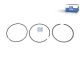 DT Spare Parts 5.00295 Kolbenringsatz passend für DAF