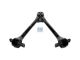 DT Spare Parts 5.10202 V-Strebe, alte Ausführung, D: 48 mm, L: 608,2 mm passend für DAF