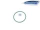 DT Spare Parts 5.15045 O-Ring, d: 59 mm, S: 4,2 mm passend für DAF