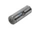 DT Spare Parts 5.21110 Bremsbackenbolzen, D: 31,9 mm, L: 100,5 mm passend für DAF