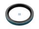DT Spare Parts 5.30113 Wellendichtring, d: 100 mm, D: 130 mm, H: 14 mm, H1: 17 mm passend für DAF