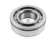 DT Spare Parts 5.30138 Zylinderrollenlager, d: 45 mm, D: 100 mm, H: 31 mm passend für Multimarken