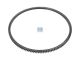 DT Spare Parts 5.40351 Zahnkranz, D: 442 mm, 138 teeth passend für DAF