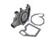DT Spare Parts 5.41002 Wasserpumpe passend für DAF