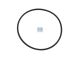 DT Spare Parts 5.41034 O-Ring, Thermostat, d: 80 mm, S: 3 mm passend für DAF