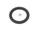 DT Spare Parts 5.41104 O-Ring, d: 25 mm, S: 5 mm passend für DAF