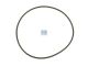 DT Spare Parts 5.41105 O-Ring, d: 130 mm, S: 3,5 mm passend für DAF