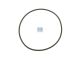 DT Spare Parts 5.41110 O-Ring, d: 95,5 mm, S: 3 mm passend für DAF