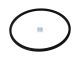DT Spare Parts 5.41126 Dichtring, schwarz, d: 146 mm, D: 157,4 mm, H: 5 mm passend für DAF