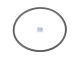 DT Spare Parts 5.50244 O-Ring, d: 70 mm, S: 3 mm passend für DAF