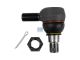DT Spare Parts 5.55224 Kugelkopf, Rechtsgewinde, C: 30 mm, M22 x 1,5R, L: 80 mm passend für DAF