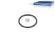 DT Spare Parts 5.62071 O-Ring, d: 46 mm, S: 4 mm passend für DAF