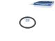 DT Spare Parts 5.62072 O-Ring, d: 23,5 mm, S: 2,55 mm passend für DAF