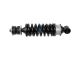 DT Spare Parts 5.65011 Kabinenstoßdämpfer passend für DAF