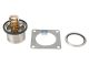 DT Spare Parts 5.94131 Thermostatsatz, 79 °C passend für DAF