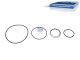 DT Spare Parts 5.94135 Dichtringsatz, Thermostatgehäuse passend für DAF