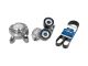 DT Spare Parts 5.94194 Riemenspannersatz, neue Ausführung passend für DAF