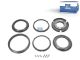 DT Spare Parts 5.95051 Synchronsatz passend für DAF