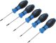 Schraubendreher-Satz | T-Profil (für Torx) | T6 - T10 | 5-tlg. BGS6828