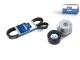 DT Spare Parts 6.00052 Riemenspannersatz, 8 PK, L: 1565 mm, W: 28,5 mm passend für Multimarken