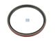 DT Spare Parts 6.20508 Wellendichtring, d: 153 mm, D: 171 mm, H: 11 mm passend für Multimarken