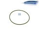 DT Spare Parts 6.21031 O-Ring, Laufbuchse, d: 105 mm, S: 3 mm passend für Renault