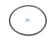 DT Spare Parts 6.21491 O-Ring, Laufbuchse, d: 134,6 mm, S: 5,7 mm passend für Renault