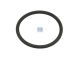 DT Spare Parts 6.22322 O-Ring, d: 29,1 mm, S: 2,55 mm passend für Renault