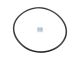 DT Spare Parts 6.26452 O-Ring, d: 110 mm, S: 3,5 mm passend für Renault