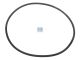 DT Spare Parts 6.33060 O-Ring, d: 102 mm, S: 3 mm passend für Renault
