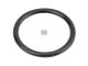 DT Spare Parts 6.33081 O-Ring, d: 23,7 mm, S: 2,6 mm passend für Renault