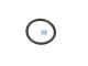 DT Spare Parts 6.33083 O-Ring, d: 14,6 mm, S: 1,52 mm passend für Renault